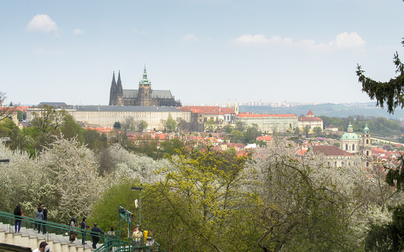 Prague Castle from Petřínské sady