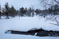 Snoeshoe Trek