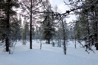 Backcountry