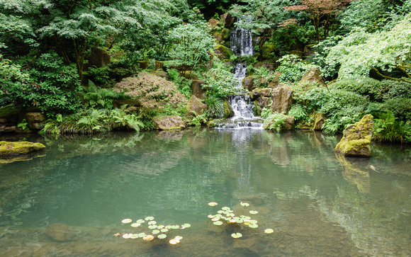 Japanese Garden Waterfall
