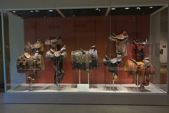 Various Period Saddles