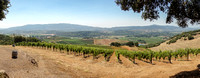 Sonoma Valley from Kunde Hill Top