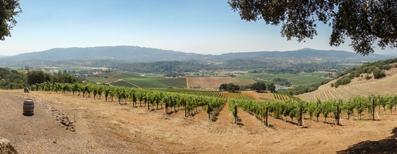 Sonoma Valley from Kunde Hill Top