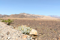 Death Valley Western Mountain Range