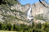 Yosemite Falls from the Valley Floor