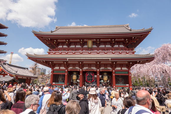 Sensō-ji Temple