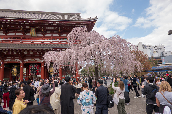 Sensō-ji Temple