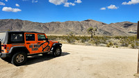 Joshua Tree Tour