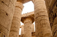 Capital On Papyrus Column