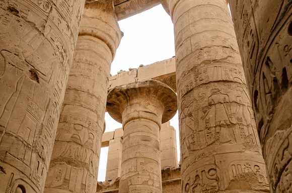 Capital On Papyrus Column