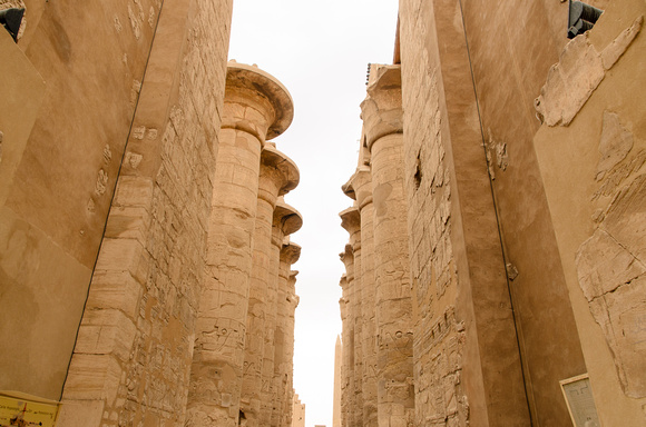 Papyrus Columns