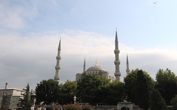 Blue Mosque Exterior