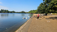 Hyde Park