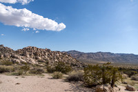 Colorado Desert