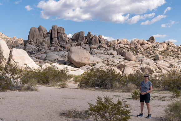 Joshua Tree Rock Outcropping