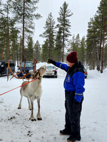 Eric Feeding Reindeer
