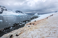 Fournier Bay and Danco Island