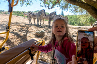 Zebras Say Cheese!