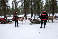 Reindeer Instruction